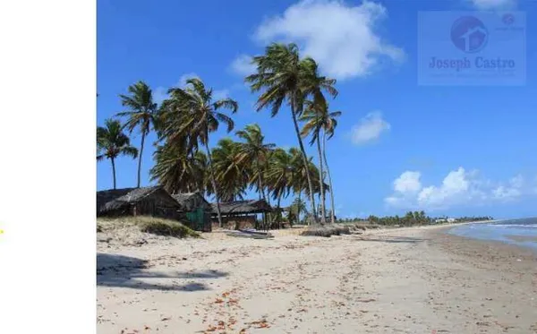 Área à venda - ,