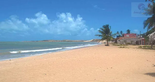 Área à venda - ,