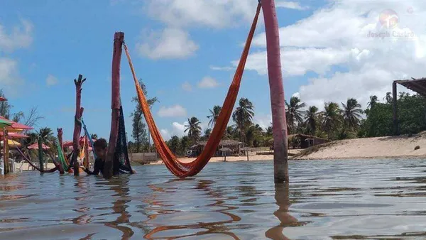 Área à venda - ,