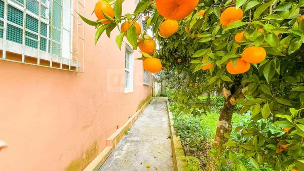 Casa à venda com 5 quartos, 388m² - Centro,Lapa
