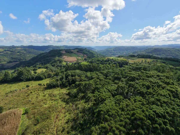 Chácara à venda - ,Três Coroas