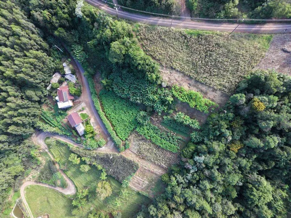 Sítio à venda - Vila Stiehl,Morro Reuter