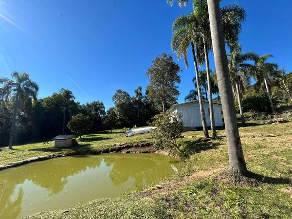 Sítio à venda com 2 quartos, 140,00m² - Nova Renânia,Santa Maria do Herval