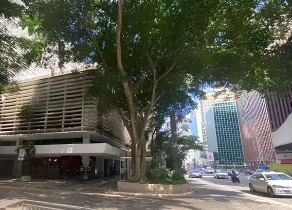 Conjunto Comercial à venda - Bela Vista,São Paulo