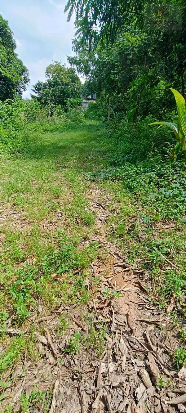 Terreno à venda - ,