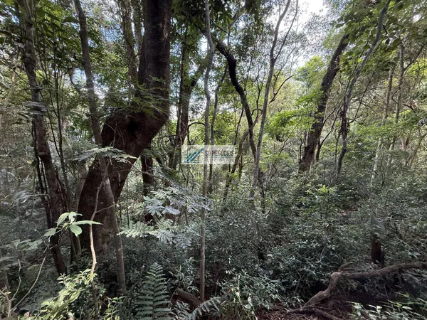 Lote em Condomínio à venda - Vila Diva,Carapicuíba
