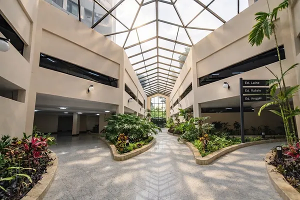 Apartamento à venda com 2 quartos, 81m² - Cambuci,São Paulo