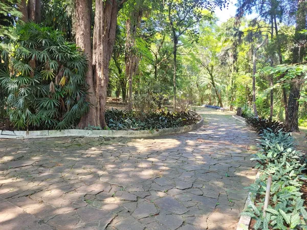 Apartamento à venda com 3 quartos, 67m² - Jardim Jussara,São Paulo