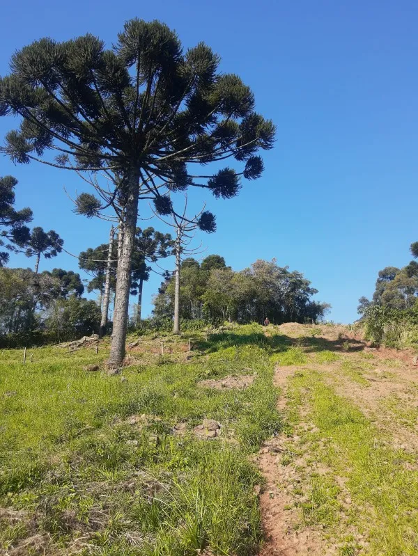 Terreno à venda - Boa Vista do Herval,Santa Maria do Herval