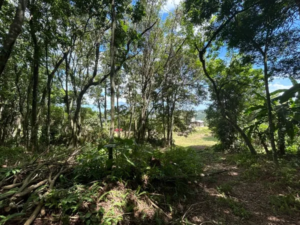Área à venda - Picada Verão,Sapiranga