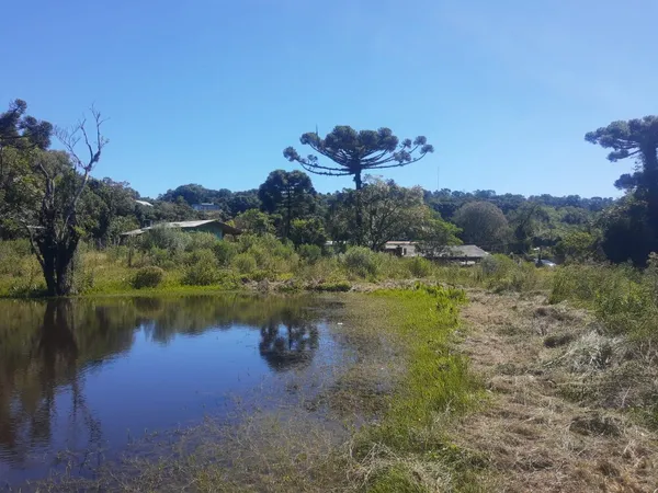 Sítio à venda - São José do Herval,Morro Reuter