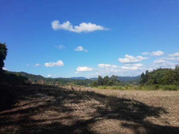 Área à venda - Vale Direito,Dois Irmãos