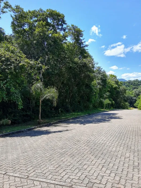 Área à venda - Beira Rio,Dois Irmãos