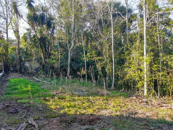 Terreno à venda - Industrial,Dois Irmãos