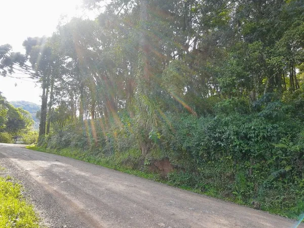 Terreno à venda - Belvedere,Morro Reuter