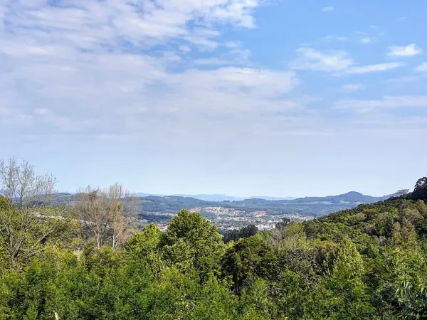 Terreno à venda - Belvedere,Morro Reuter