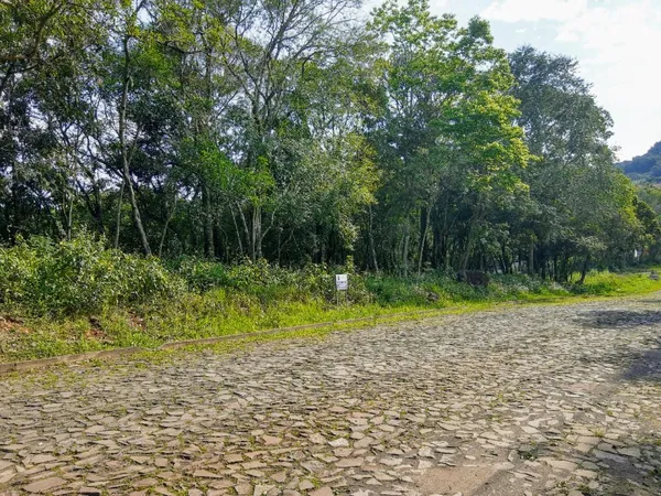 Terreno à venda - Belvedere,Morro Reuter