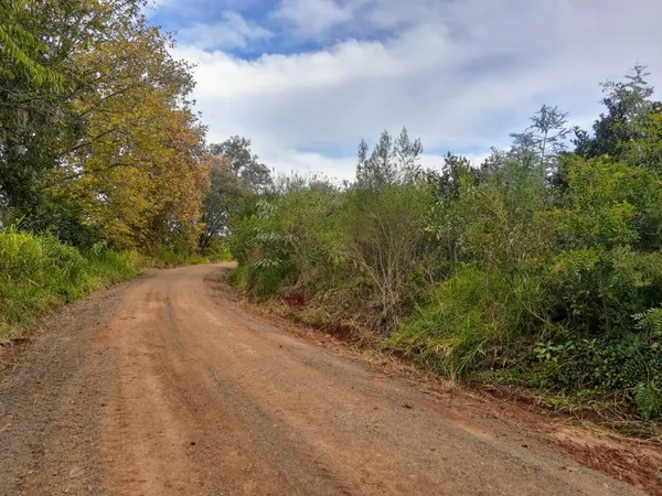 Área à venda - Travessão,Dois Irmãos