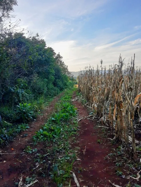 Área à venda - Travessão,Dois Irmãos