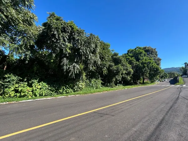 Área à venda - Floresta,Dois Irmãos