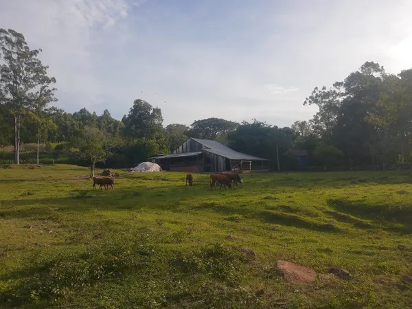 Chácara à venda com 6 quartos, 600.00m² - Picada dos Nabos,Sapiranga