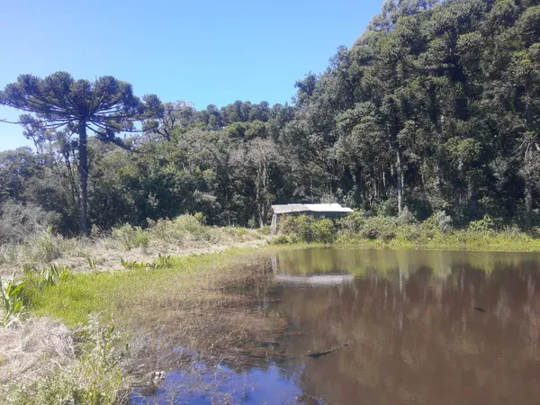 Sítio à venda - São José do Herval,Morro Reuter