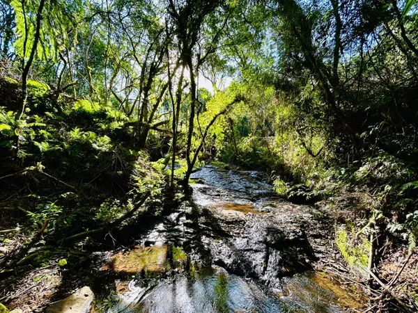 Chácara à venda - Padre Eterno Ilges,Santa Maria do Herval