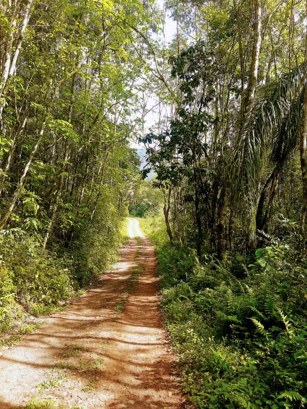 Sítio à venda - Linha Marcondes,Santa Maria do Herval