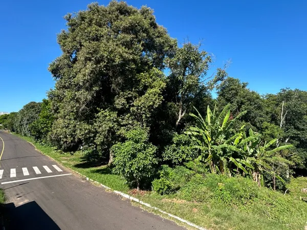 Área à venda - Floresta,Dois Irmãos
