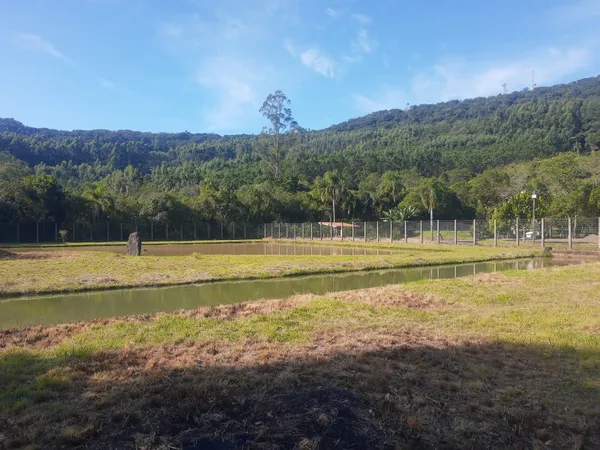 Sítio à venda - Planalto,Morro Reuter