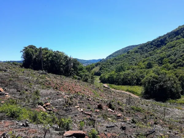 Chácara à venda - Nova Vila,Santa Maria do Herval
