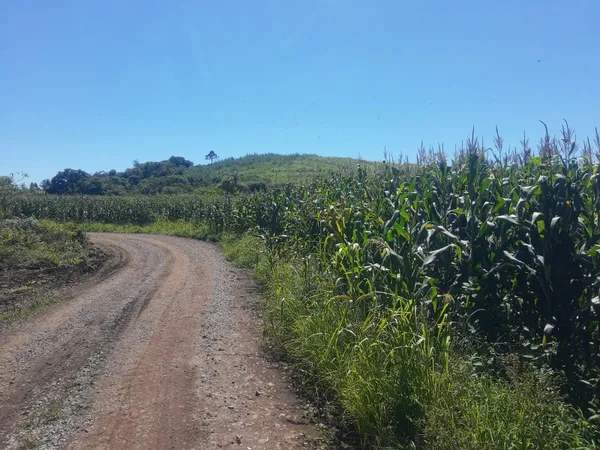 Chácara à venda - Alto Padre Eterno,Santa Maria do Herval