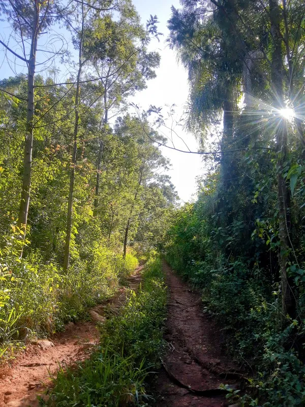 Área à venda - Moinho Velho,Dois Irmãos