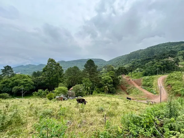 Sítio à venda - São José do Herval,Morro Reuter