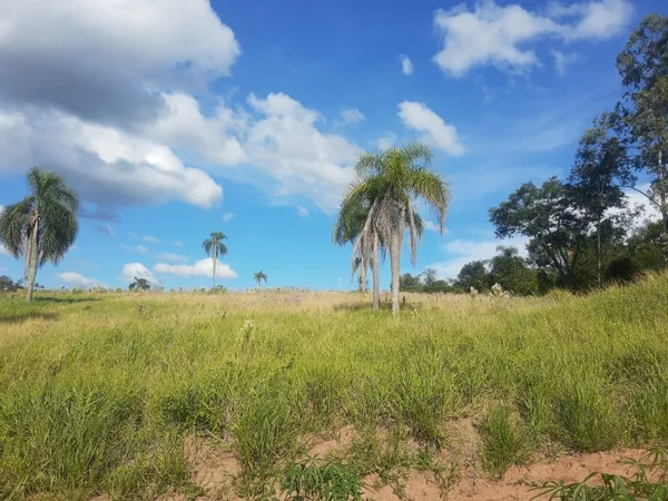 Chácara à venda - Quatro Colônias,Campo Bom