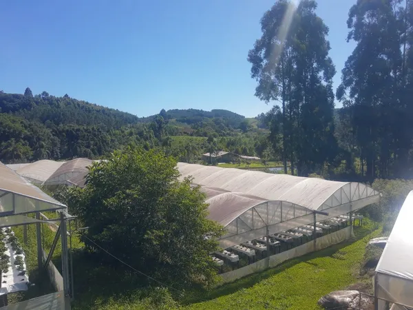 Chácara à venda com 4 quartos, 420.00m² - Padre Eterno Ilges,Santa Maria do Herval