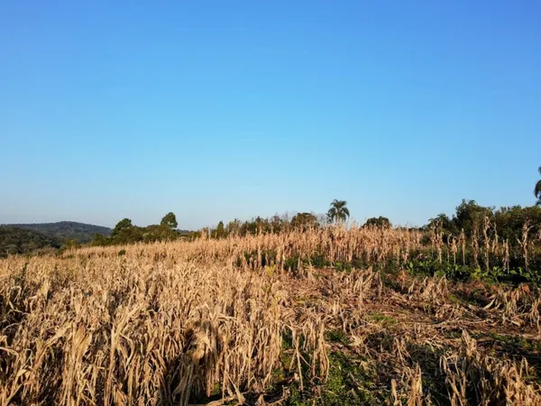 Área à venda - Travessão,Dois Irmãos