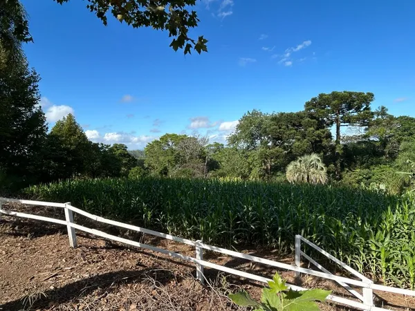 Terreno à venda - Travessão,Dois Irmãos
