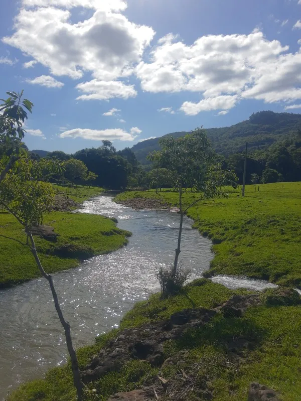 Chácara à venda com 9 quartos, 1.035,00m² - Franckenthal,Morro Reuter