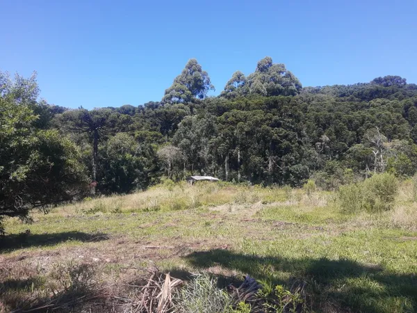 Sítio à venda - São José do Herval,Morro Reuter