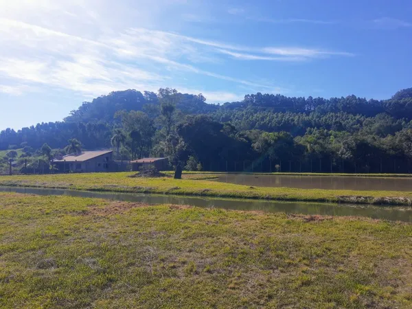 Sítio à venda - Planalto,Morro Reuter