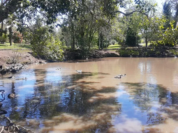 Chácara à venda com 3 quartos, 200,00m² - Padre Eterno Ilges,Santa Maria do Herval