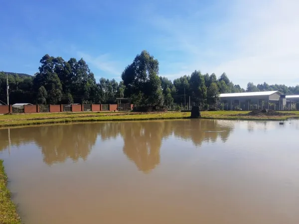 Sítio à venda - Planalto,Morro Reuter